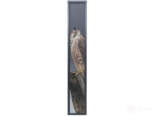 Safe Deposit box AIKO BERKUT-3 Print