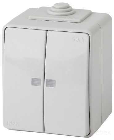Выключатель ЭРА Эксперт 11-1605-03 двойной с подсветкой IP65 10АХ-250В ОУ серый