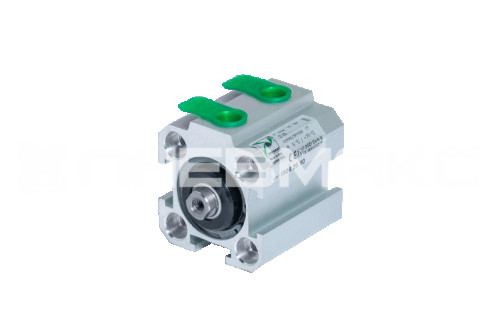 Compact pneumatic cylinder with through rod, piston diameter 25mm, stroke 10mm / 0001500956F