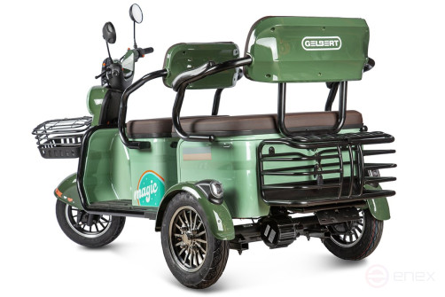 Electric tricycle Rutrike Gelbert Kang 48V/60V 800W, green