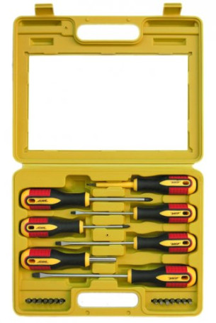 A set of screwdrivers with a three-component handle and inserts, 21 items, plastic case
