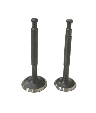 Клапаны (пара) LC152F/500550026-0001