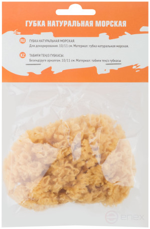Natural sea sponge, for decoration, 100x110 mm