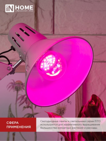 LED Lamp LED-A60 STD-PHYTO Red-blue Spectrum 15W 230V E27 IN HOME