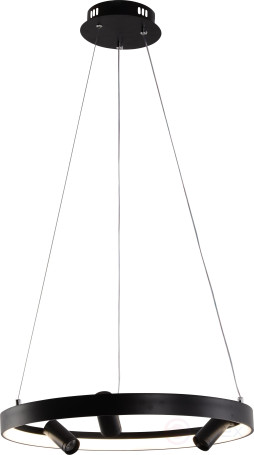 Светильник подвесной (подвес) Rivoli Selena 6147-101 LED 77 Вт 3000 - 6000 К с пультом