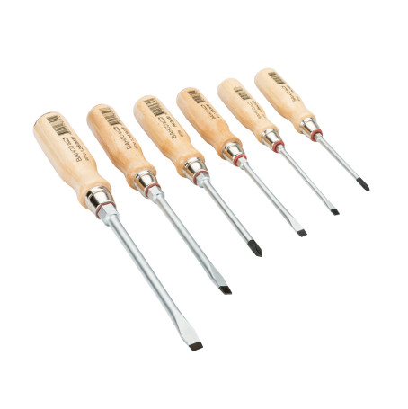 A set of Premium screwdrivers for Phillips screws and with a slot, 6 pcs