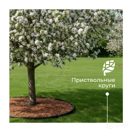 Border ribbon garden DECO Geoplastboard 10 meters color black