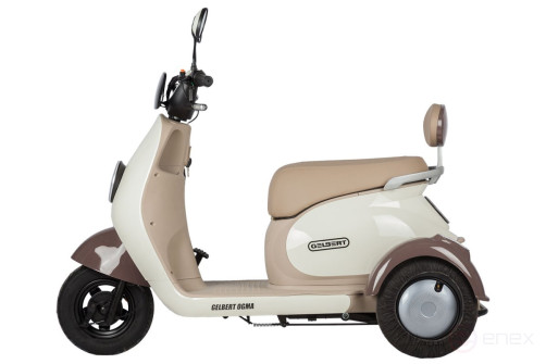 Electric tricycle Rutrike Gelbert Ogma 48V/60V 650W, white