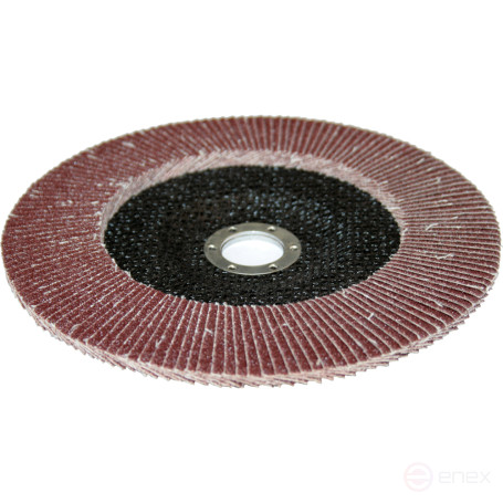 PRAKTIKA petal grinding wheel 180 x 22 mm P60 (1 pc.) Profi series (032-409)