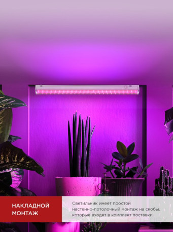 Светильник светодиодный СПБ-Т5 STD-ФИТО красно-синий спектр 10Вт 600мм IN HOME