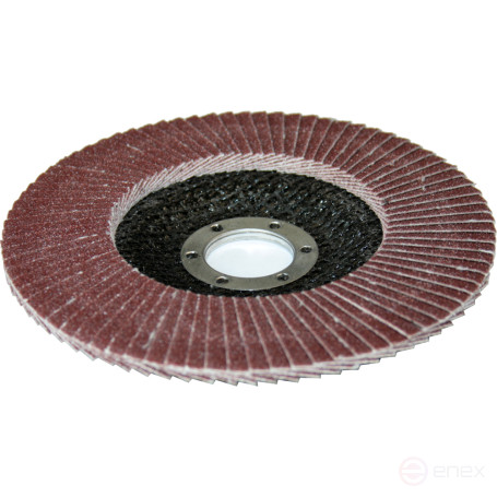 PRAKTIKA petal grinding wheel 125 x 22 mm P100 (1 pc.) Profi series (032-386)