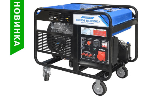 TSS SGG 18000EH3A Gasoline Generator