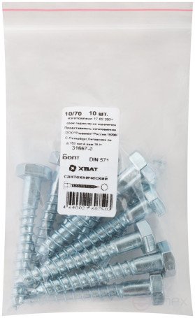 Sanitary bolt DIN 571 10/70 (packing 10 pcs)