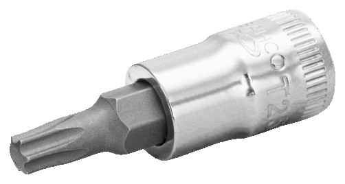 1/4" End head with insert for TORX, T10 screws