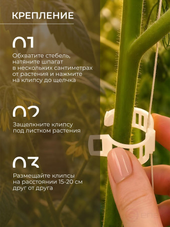 Garden clip for garter plants, set of 100 pcs., color transparent
