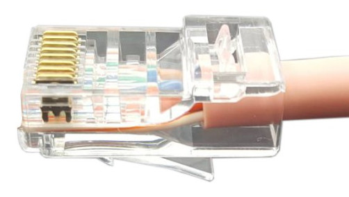 PLEZ-8P8C-U-C6-100 Light termination connector RJ-45 (8P8C) for twisted pair, category 6 (50 µ"/ 50 micro-inches), universal (for single-core and multi-core cable) (100 pcs.)