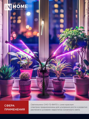 Светильник настольный на основании светодиодный СНО-Т2-ФИТО 4С40 красно-синий 40Вт 4 плафона, пульт на шнуре IN HOME