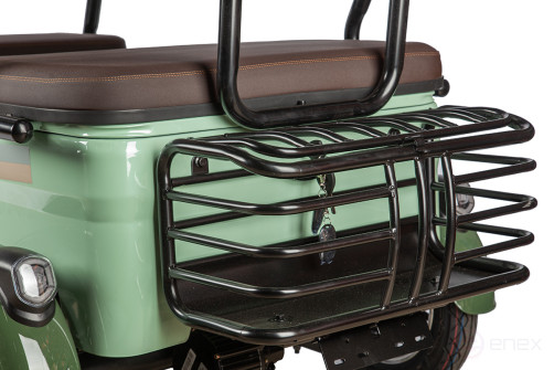 Electric tricycle Rutrike Gelbert Kang 48V/60V 800W, green