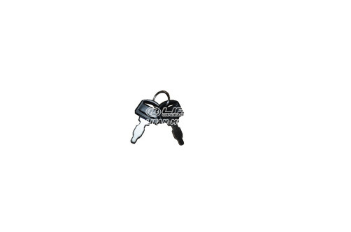 Ignition key (set) 31258