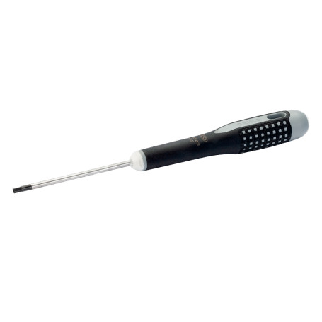 Screwdriver with handle ERGO hexagon 2.5X75