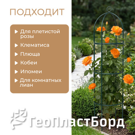 Geoplastboard support for roses, collapsible, height 185cm, metal
