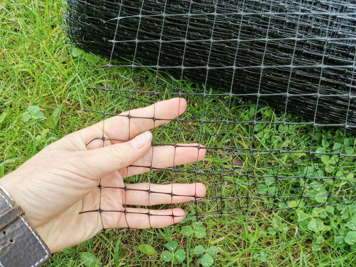 Rodent and mole net 25x2 m cell 15x15 mm Geoplastboard color black