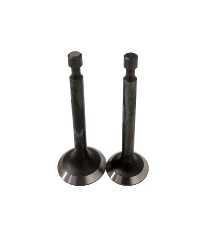 Клапаны (пара) LC1P65FA(FE)/500550034-0001