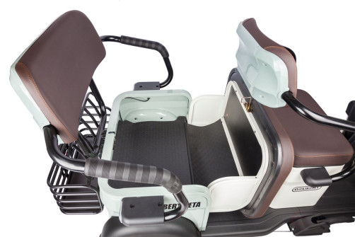 Electric tricycle Rutrike Gelbert Beta 48V/60V 800W, grey-white