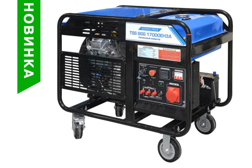 TSS SGG 17000EH3A Gasoline Generator