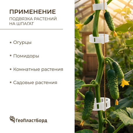 Garden clip for garter plants, set of 100 pcs., color transparent