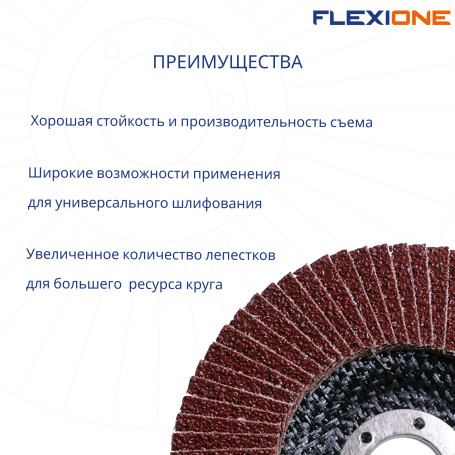 Flat petal circle 125x22mm P36 Flexione Expert, 10 pcs.