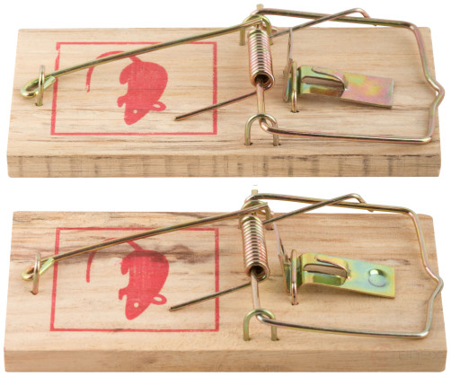 Small wooden mousetraps 2 pcs., 100 x 45 mm