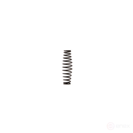 Spring RT-5567(Inlet Spring) item 30