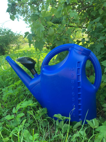 Watering can garden 10 liters, blue