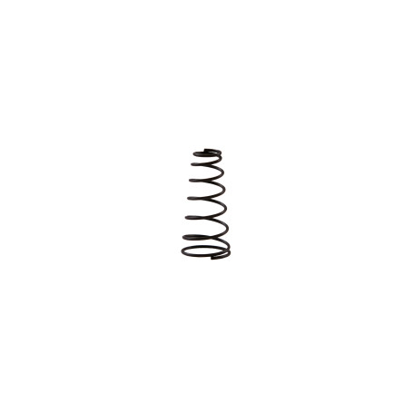 Valve spring (Air inlet spring ) RT-5565 item 34