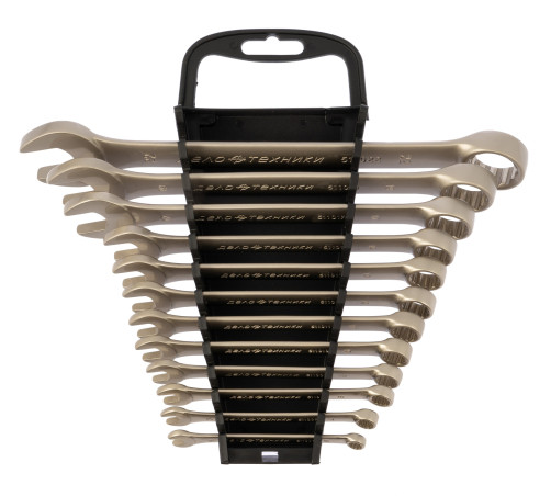 Набор ключей комбинированных 12 шт. (6,7,8,9,10,11,12,13,14,17,19,22 мм) холдер