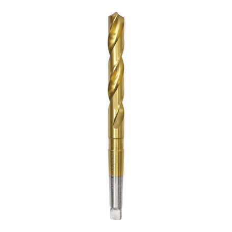 Drill bit 2113 Expert Ø 20.25 mm Morse Taper 2 M2 TIN (6542)/118° DIN 345 Plast box 1/10