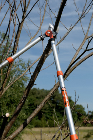 Сучкорез Expert с паралелльными лезвиями до 40 мм с двухкомпонентными телескопическими рукоятками, 745 мм