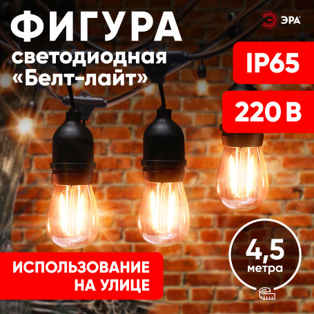 Гирлянда ЭРА ERABL-FIL1 светодиодная новогодняя нить уличная на подвесах 4,5 м теплый белый 10 LED