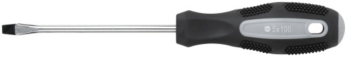 Screwdriver "Master", CrV steel, rubberized handle 5x100 mm SL