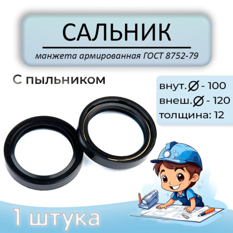 Oil seal (reinforced cuff) 100x120x12mm, with dust cover