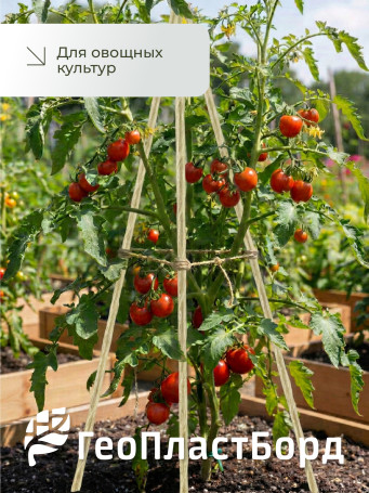 Колышки садовые композитные для подвязки растений ГеоПластБорд 20 штук цвет бежевый
