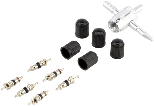 Wheel valve repair kit (camera) 11pr. short nipple (plastic.cap) BERIL
