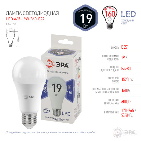 LED lamp ERA STD LED A65-19W-860-E27 19W bulb Cold Daylight E27