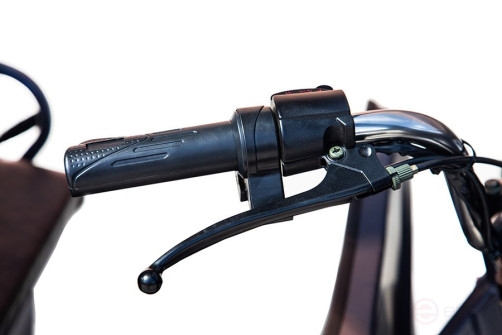 Cargo electric tricycle Rutrike CARGO 1800 60V1000W, green