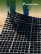 Reinforced lawn grid Geoplastboard, 50 x 50, color black, 4 pcs