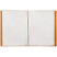 Папка с 20 вкладышами Berlingo "Color Zone", 14 мм, 600 мкм, оранжевая
