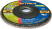PRAKTIKA petal grinding wheel 125 x 22 mm P100 (1 pc.) Profi series (032-386)