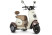 Electric tricycle Rutrike Gelbert Ogma 48V/60V 650W, white