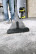 Household vacuum cleaner WD 6 P Premium